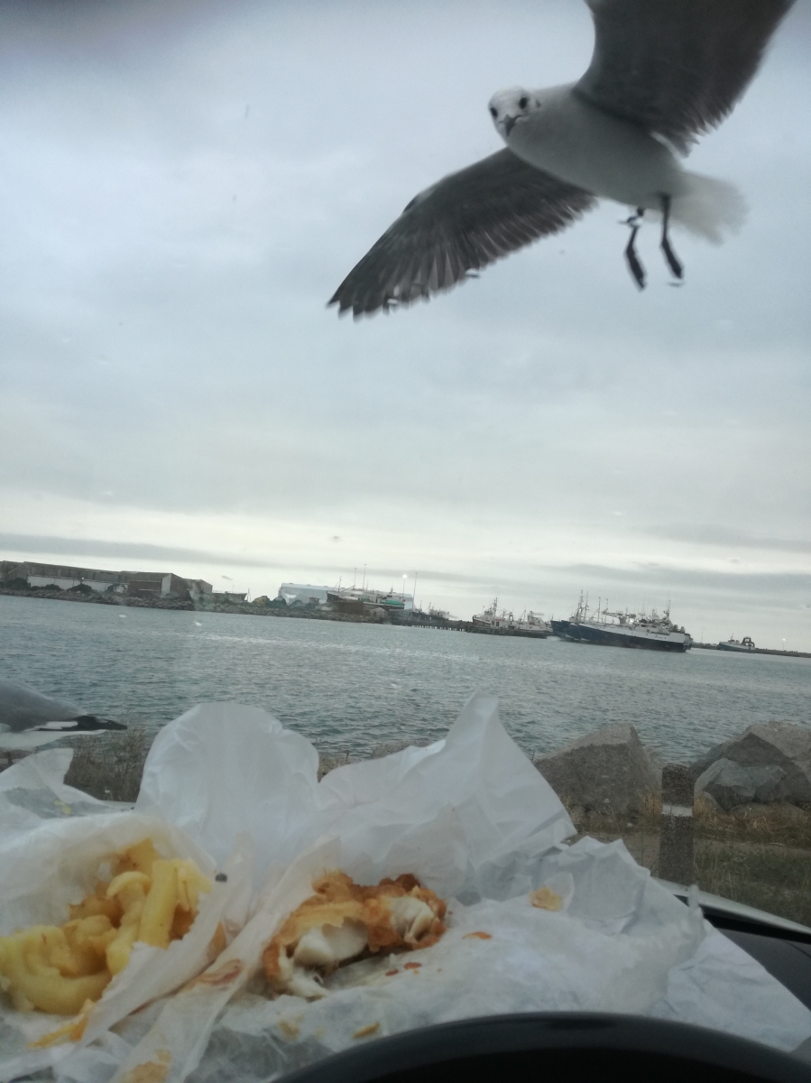 2 Bedroom Property for Sale in Harbour Lights Western Cape